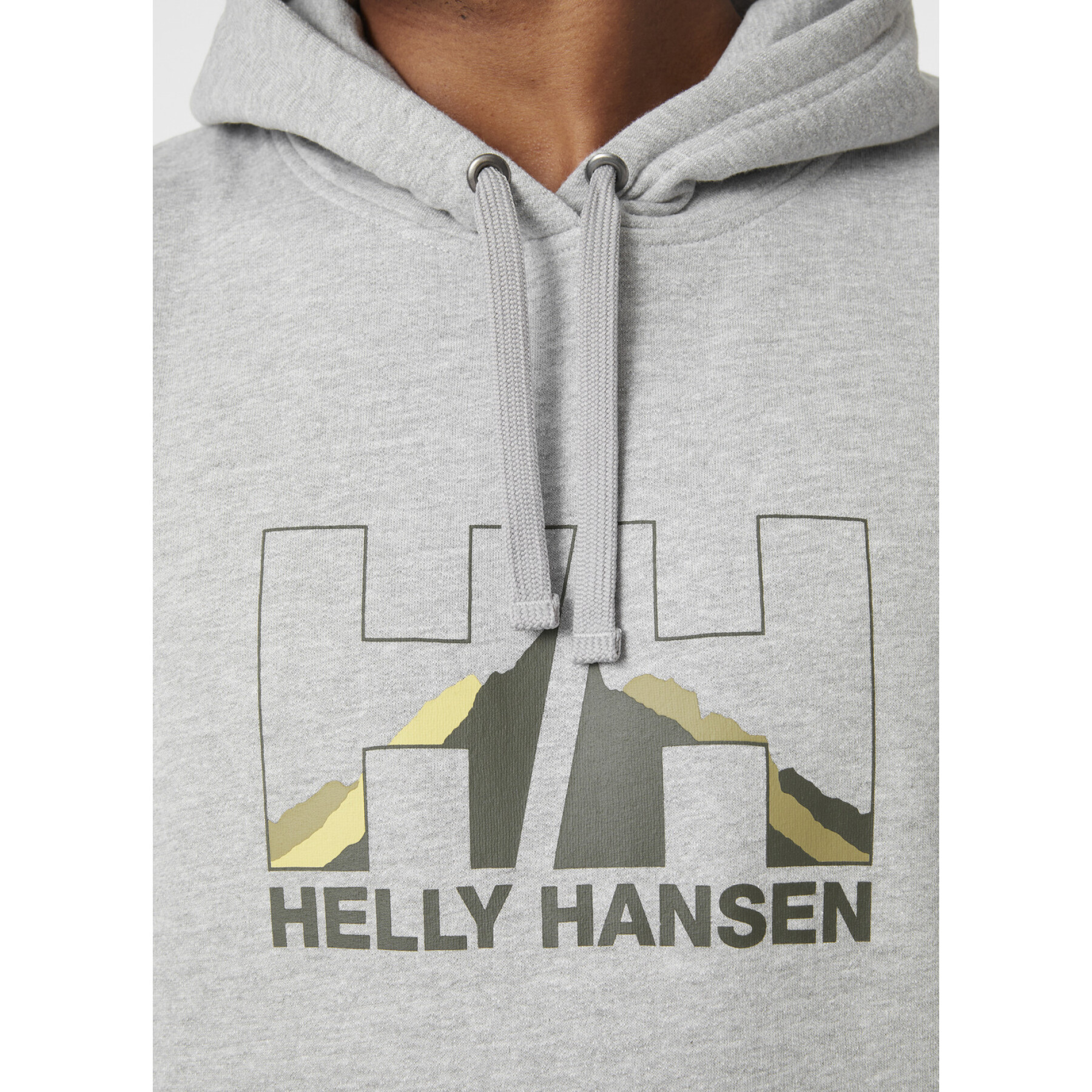 Hoodie Helly Hansen nord graphic