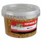 Cooked wheat seeds Rameau 0,5 L