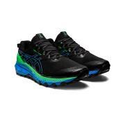 Trail running shoes Asics Gel-trabuco 10