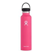 Standard thermos Hydro Flask with standard mouth flex cap 24 oz